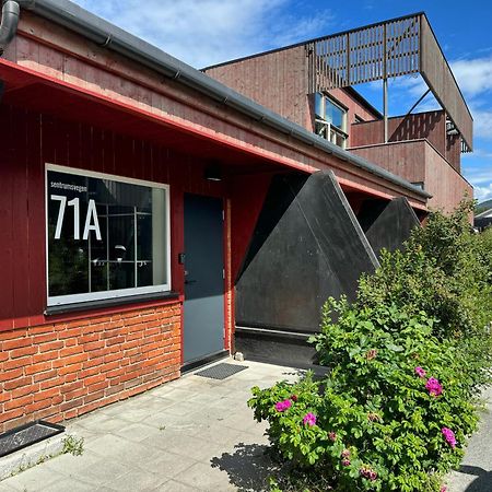 Sentrumsvegen - Private Studio Apartment In Gol Exterior foto