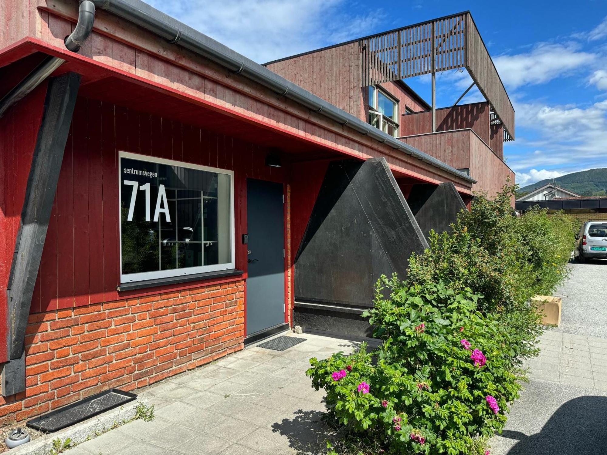 Sentrumsvegen - Private Studio Apartment In Gol Exterior foto
